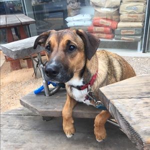 Meet your Posher, Mia